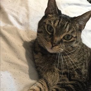 Meet your Posher, Laraine suzzette